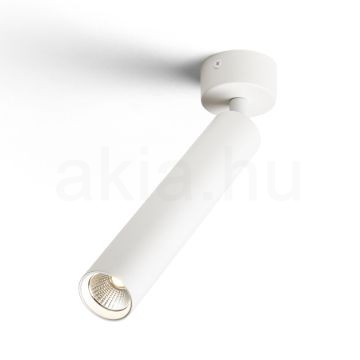 DARRIN R felületre szerelhető fehér  230V LED 6W 24°  3000K